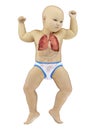 A babys lung Royalty Free Stock Photo
