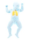 A babys stomach Royalty Free Stock Photo