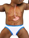 A babys stomach Royalty Free Stock Photo