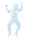 A babys stomach Royalty Free Stock Photo