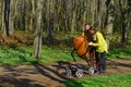 Babysitters walk with baby pram in park. Woman and man babysitters take care of little child. Responsibility and