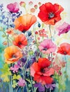 Bac Flowers Blue Vase Background Dead Poppies Pastel Vibrant Blo Royalty Free Stock Photo