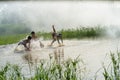 Bac Ninh, Vietnam - May 29, 2016: Children catching fish by fishing bamboo trap - the old traditional way, on pond in Bac Ninh pro