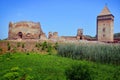 Ruins of old medieval fortress Bac, Serbia Royalty Free Stock Photo