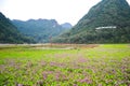 Bac Son Flower Valley or Thung Lung Hoa Bac son in Vietnamese, Lang Son, Vietnam