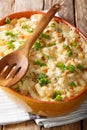 Bacalhau com natas - baked cod with potatoes, onions and cream c Royalty Free Stock Photo