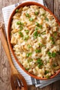 Bacalhau com natas - baked cod with potatoes, onions and cream c Royalty Free Stock Photo