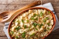Bacalhau com natas - baked cod with potatoes, onions and cream c Royalty Free Stock Photo