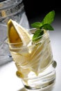 Bacardi with lemon Royalty Free Stock Photo