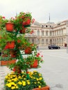 Bacau City Hall Royalty Free Stock Photo