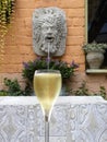 Bacchus head as fontain