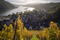 Bacharach with panoramic view small town in the Rhine Valley in autumn in the vineyards in Rhineland-Palatinate Royalty Free Stock Photo