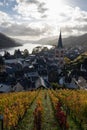 Bacharach with panoramic view small town in the Rhine Valley in autumn in the vineyards in Rhineland-Palatinate Royalty Free Stock Photo