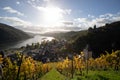 Bacharach with panoramic view small town in the Rhine Valley in autumn in the vineyards in Rhineland-Palatinate Royalty Free Stock Photo