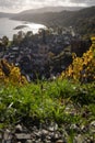 Bacharach with panoramic view small town in the Rhine Valley in autumn in the vineyards in Rhineland-Palatinate Royalty Free Stock Photo