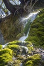 Bachkovo waterfall in the Rhodopes, Bulgaria Royalty Free Stock Photo