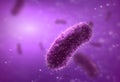 Bacillus bacteria closeup Royalty Free Stock Photo