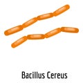 Bacillus cereus icon, cartoon style. Royalty Free Stock Photo