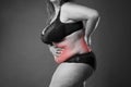 Back and abdomen pain, fat woman with backache, overweight female body on gray background Royalty Free Stock Photo