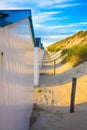 Back ally of white beach houses in the dunes  of Texel Royalty Free Stock Photo