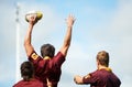 Back, ball and men training, rugby and fitness with a healthy lifestyle, energy or wellness on a field. Male athletes Royalty Free Stock Photo