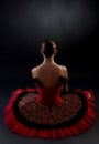 Back of a ballerina Royalty Free Stock Photo