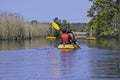 Kayaking in the National Wildlife Refuge on Back Bay, Virginia Beach Virginia Royalty Free Stock Photo