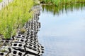 Back bay wildlife refuge shore reinforcements virginia state usa Royalty Free Stock Photo