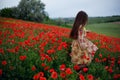 Back of a beautiful lonely young girl with long hair and floral dress walks in a red poppies field in nature landscape Royalty Free Stock Photo