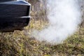 The back of the black car with the emission of smoke from the exhaust pipe on the background of nature. Royalty Free Stock Photo