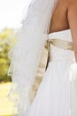 Back of Wedding Gown with Veil