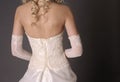 Back of bride in wedding dress. Royalty Free Stock Photo