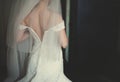 The back of the bride, wedding dress, veil, buttons Royalty Free Stock Photo