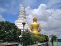 The back Buddha in beautiful temple