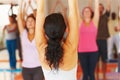 Back, class and yoga group with an instructor in a studio for health, wellness or holistic training. Exercise, pilates Royalty Free Stock Photo