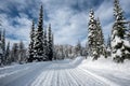 Back country in the mountains in Montana on path used for snow mobiles and skiing