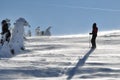 Back country skier (ski touring) Royalty Free Stock Photo