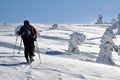 Back country skier (ski touring) Royalty Free Stock Photo