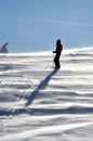 Back country skier (ski touring) Royalty Free Stock Photo