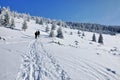 Back country skier (ski touring) Royalty Free Stock Photo