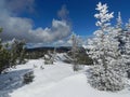 Back Country Skiers Delight: Snow Ghosts on Darland Mountain Royalty Free Stock Photo