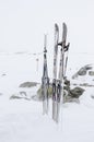 Back-country skiis standing in snow