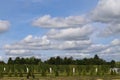 Back garden in palace of versailles, paris, france Royalty Free Stock Photo