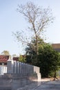 Back of the Graves with Trees in The Annual Blessing of Graves at Ratchaburi Province, Thailand Royalty Free Stock Photo