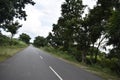 Road of the nature in forest