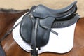 On the back of the horse, a brown leather saddle Royalty Free Stock Photo