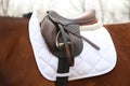 On the back of the horse, a brown leather saddle Royalty Free Stock Photo