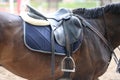 On the back of the horse, a brown leather saddle Royalty Free Stock Photo