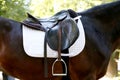 On the back of the horse, a brown leather saddle Royalty Free Stock Photo