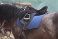 On the back of the horse, a brown leather saddle Royalty Free Stock Photo